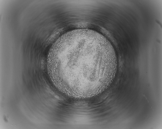 X0000102360161200808221724