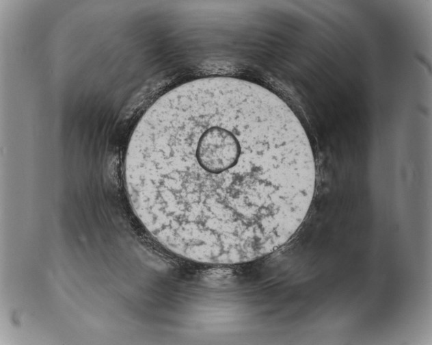 X0000102360162200808221724