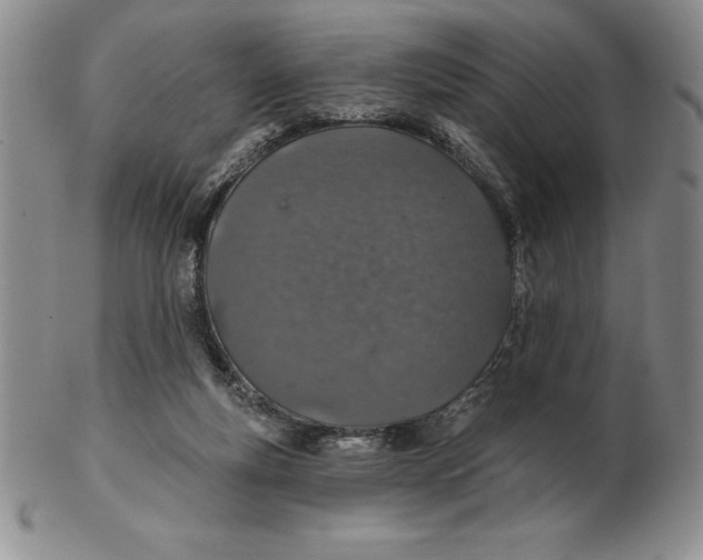 X0000102360163200808221724