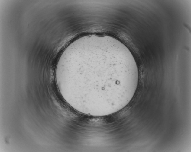 X0000102360164200808221724