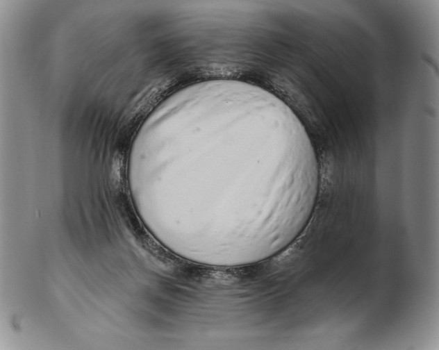 X0000102360166200808221724