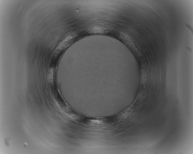 X0000102360167200808221724