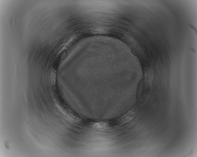 X0000102360168200808221724