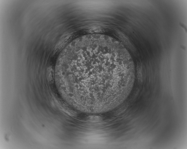 X0000102360169200808221724