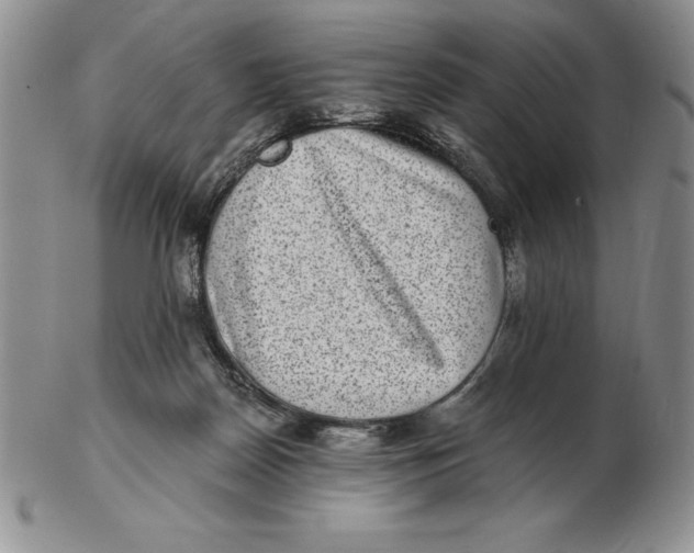 X0000102360170200808221724