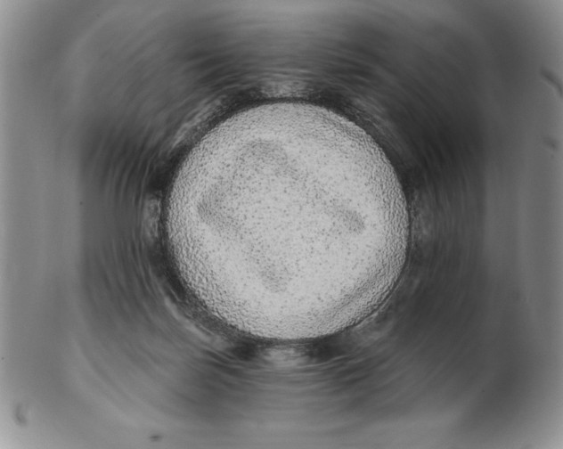 X0000102360171200808221724