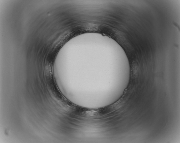 X0000102360172200808221724