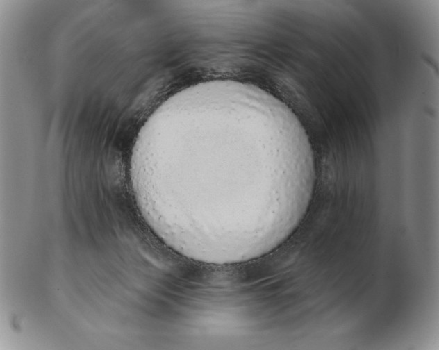 X0000102360173200808221724