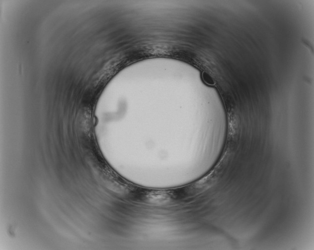 X0000102360175200808221724