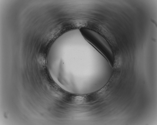 X0000102360176200808221724