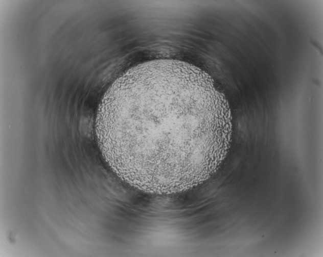 X0000102360177200808221724