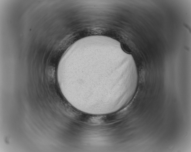 X0000102360178200808221724