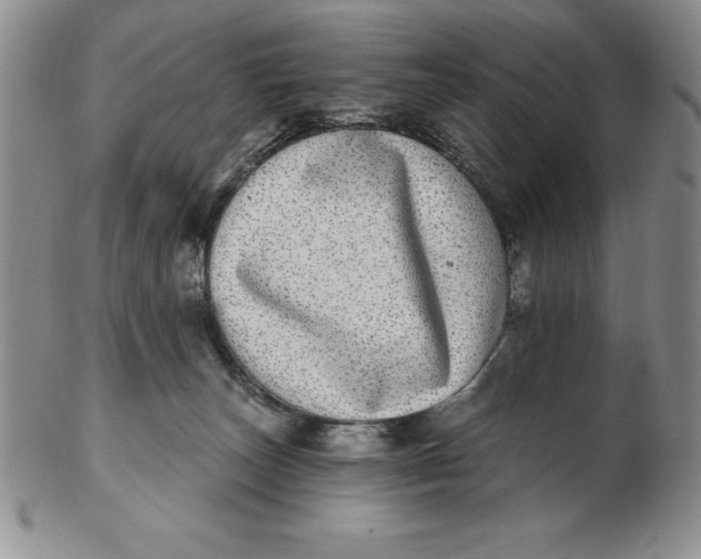 X0000102360179200808221724