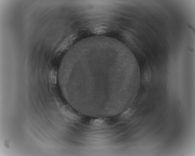 X0000102360180200808221724