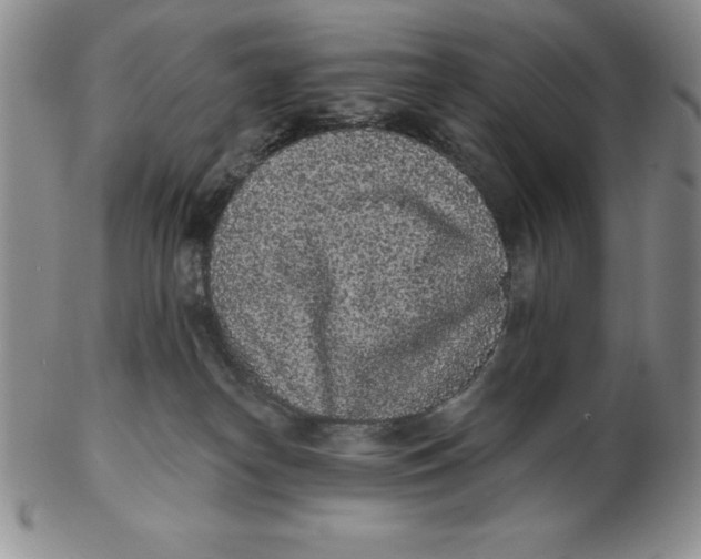 X0000102360182200808221724