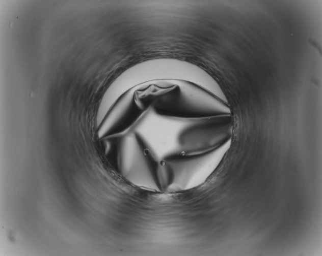 X0000102360184200808221724