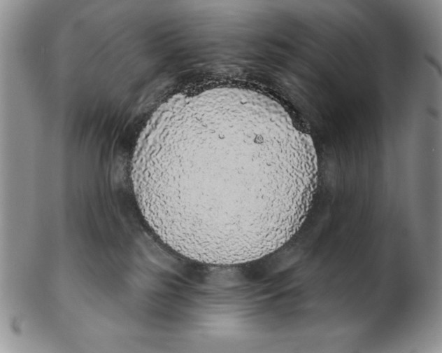 X0000102360185200808221724