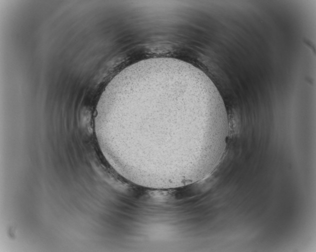 X0000102360187200808221724