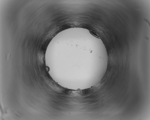 X0000102360188200808221724