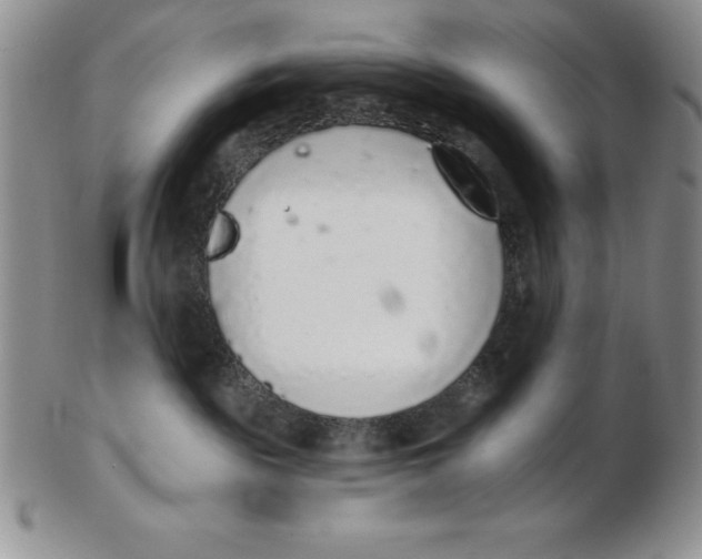 X0000102360189200808221724