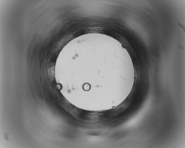 X0000102360190200808221724