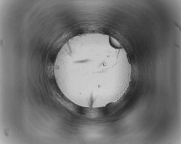 X0000102360191200808221724