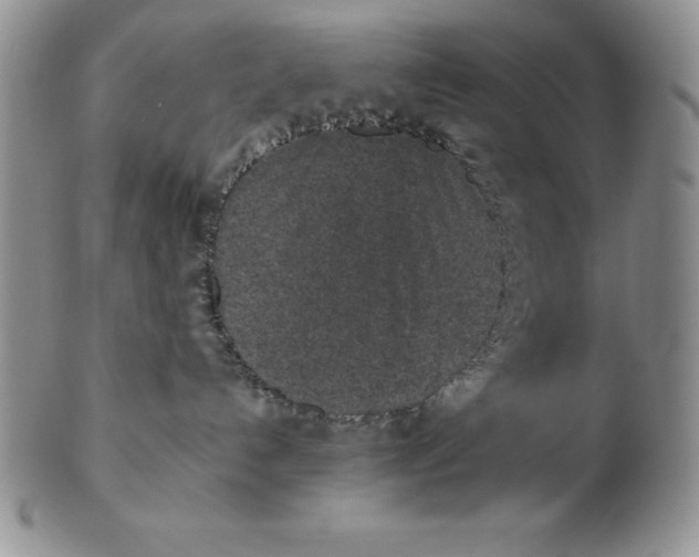 X0000102360192200808221724