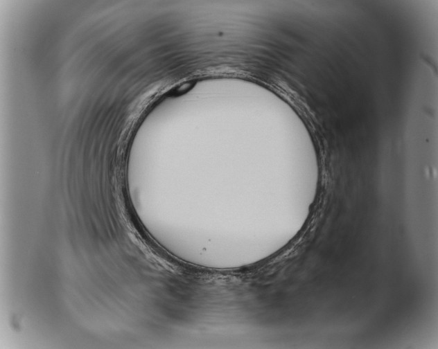 X0000102360193200808221724