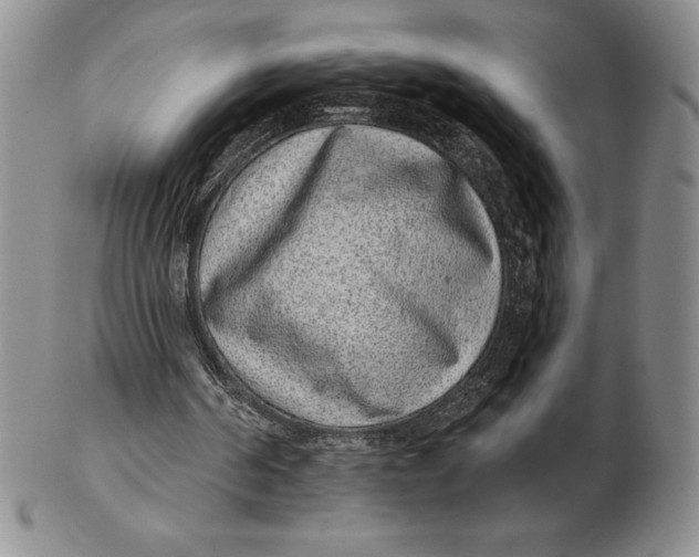 X0000102360194200808221724