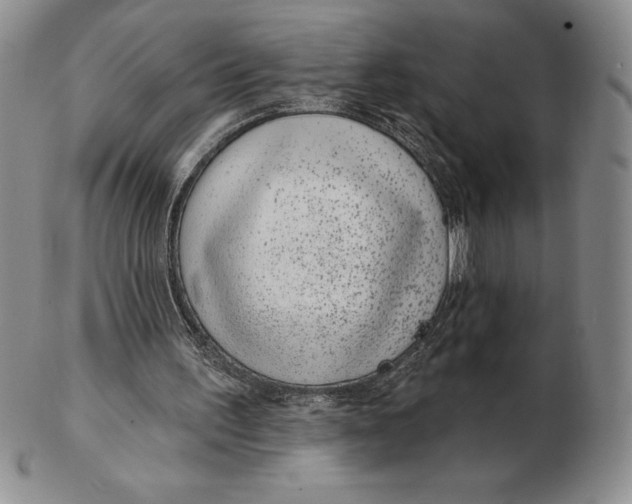 X0000102360195200808221724