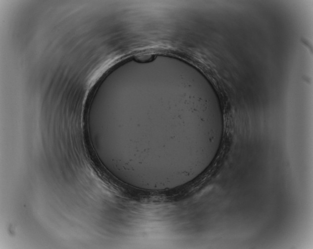 X0000102360196200808221724