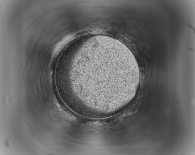 X0000102360197200808221724