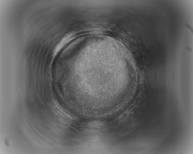 X0000102360198200808221724