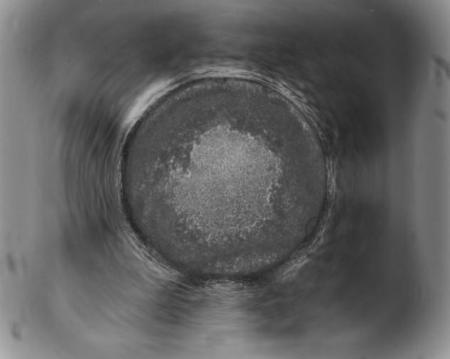 X0000102360199200808221724