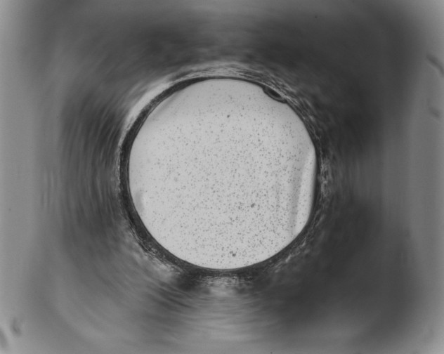 X0000102360200200808221724