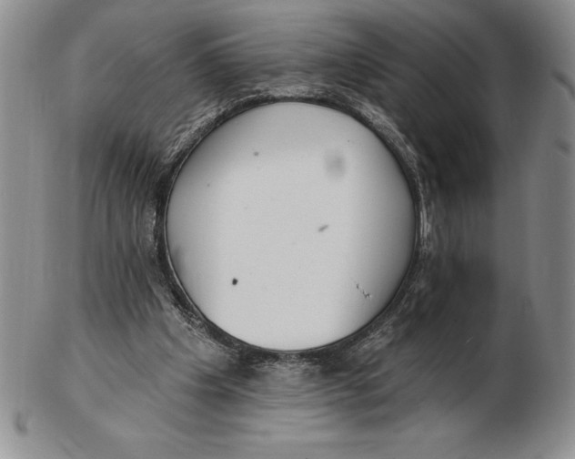 X0000102360201200808221724