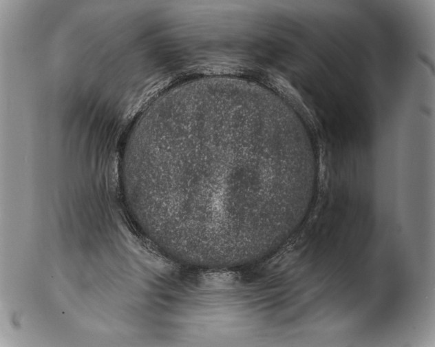 X0000102360202200808221724