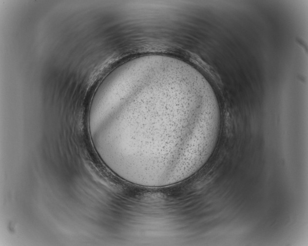 X0000102360203200808221724