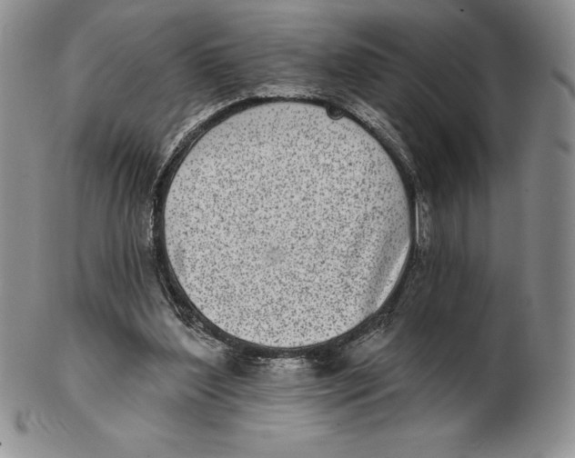 X0000102360204200808221724