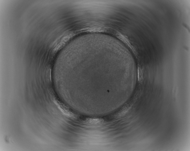 X0000102360205200808221724