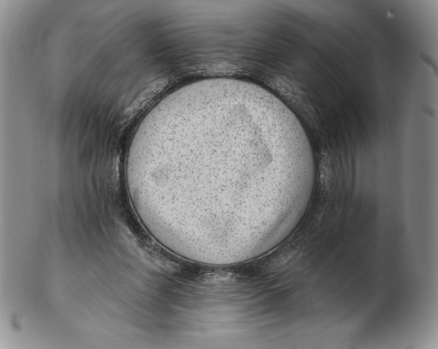 X0000102360206200808221723