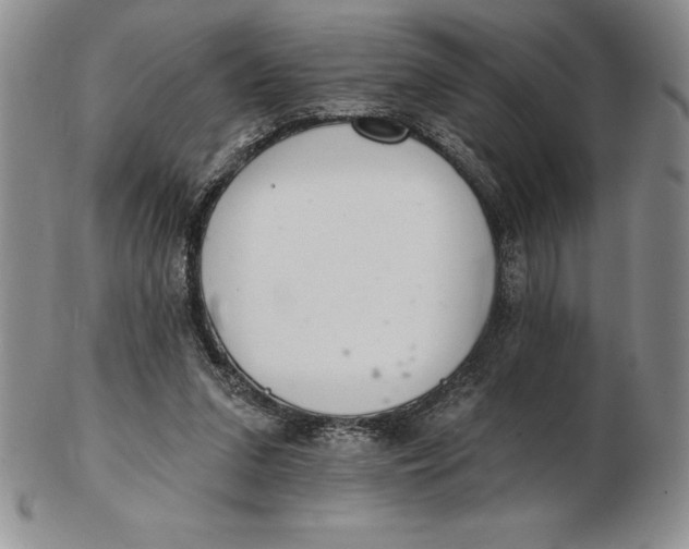 X0000102360207200808221723