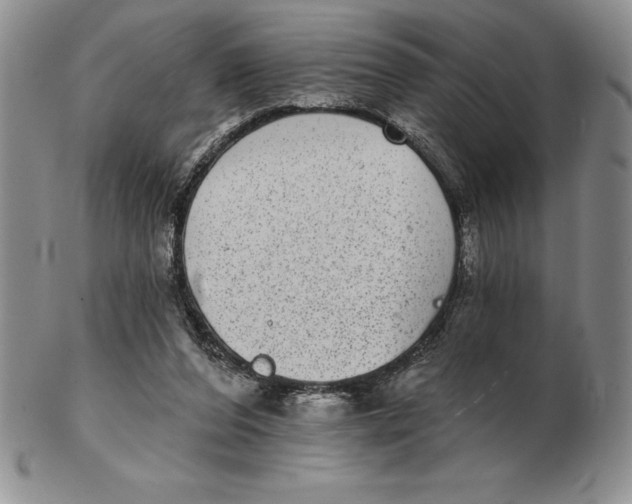 X0000102360208200808221723