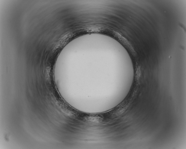 X0000102360209200808221723