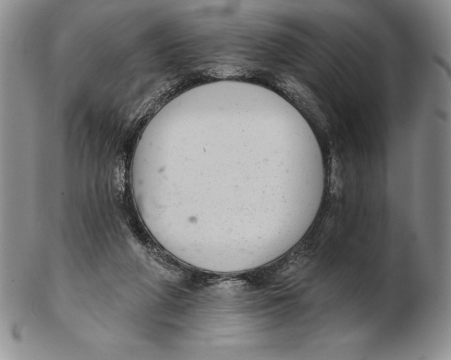 X0000102360210200808221723