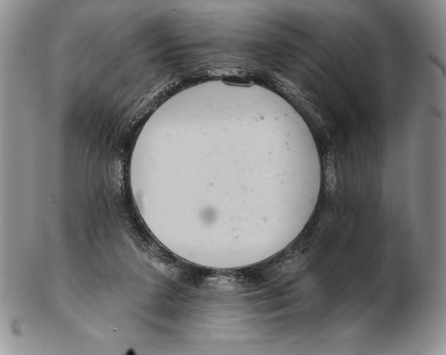 X0000102360211200808221723