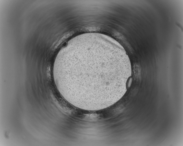 X0000102360212200808221723