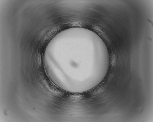 X0000102360213200808221723