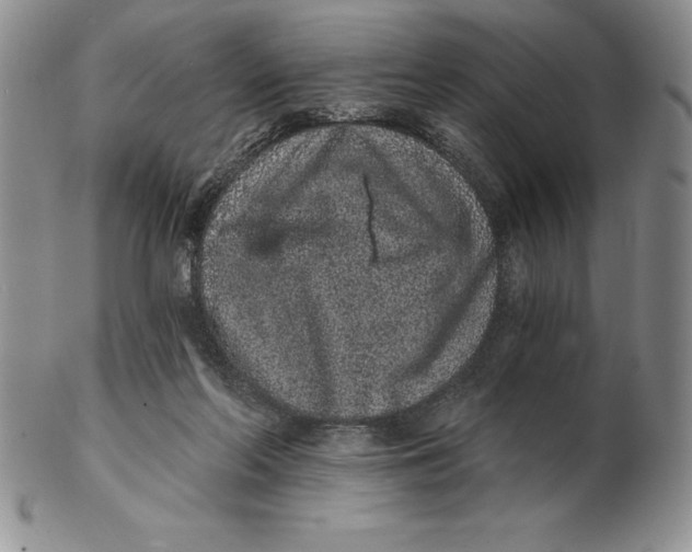 X0000102360214200808221723