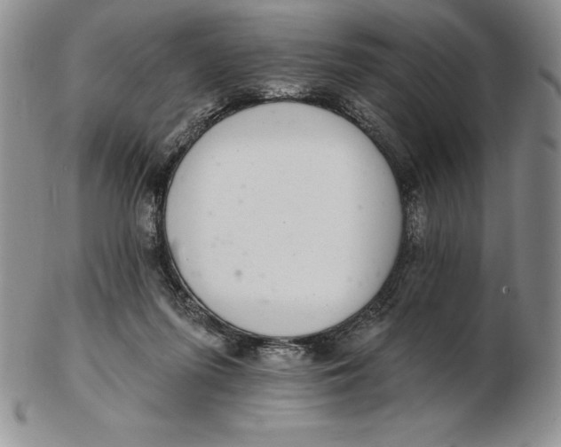 X0000102360215200808221723